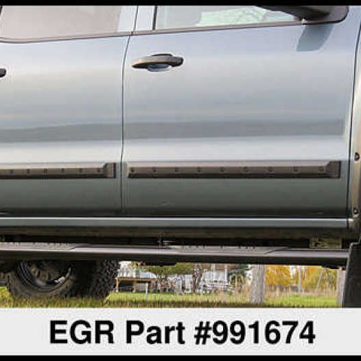 EGR Crew Cab Front 41.5in Rear 38in Bolt-On Look Body Side Moldings (991674)-tuningsupply.com