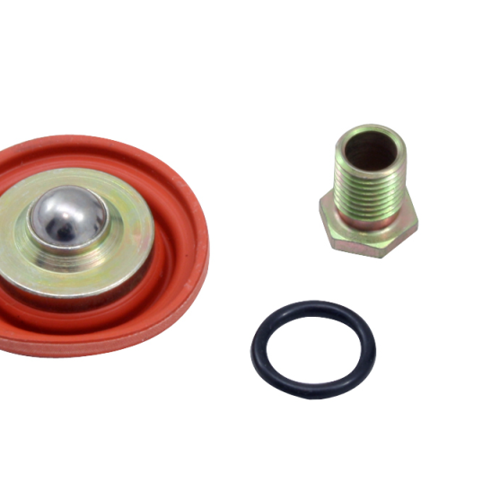 AEM Universal Fuel Pressure Regulator Rebuild Kit-tuningsupply.com