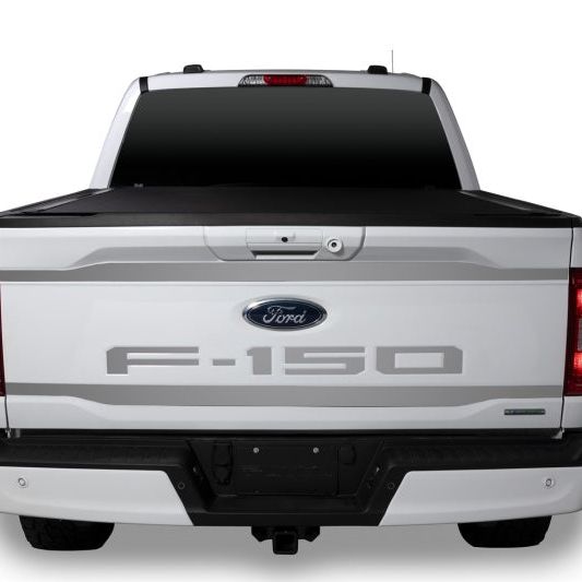 Putco 2021 Ford F-150 Ford Lettering (Cut Letters/Stainless Steel) Tailgate Emblems-tuningsupply.com