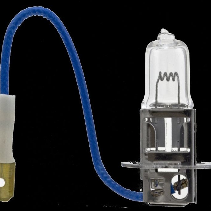 Hella H3 24V/70W PK22s T3.25 Halogen Bulb-tuningsupply.com