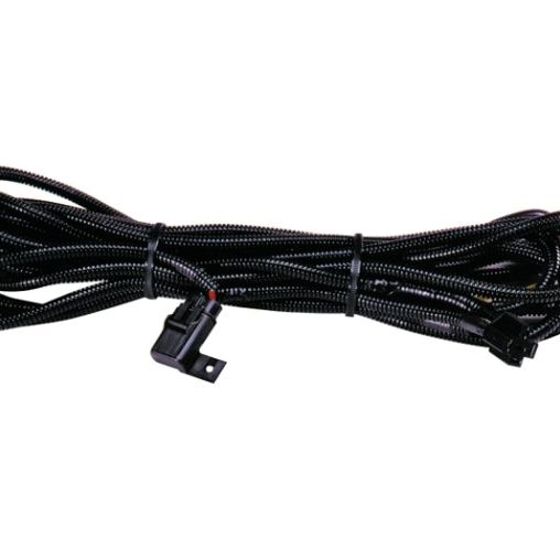 Hella High Performance Halogen Wiring Harness-tuningsupply.com