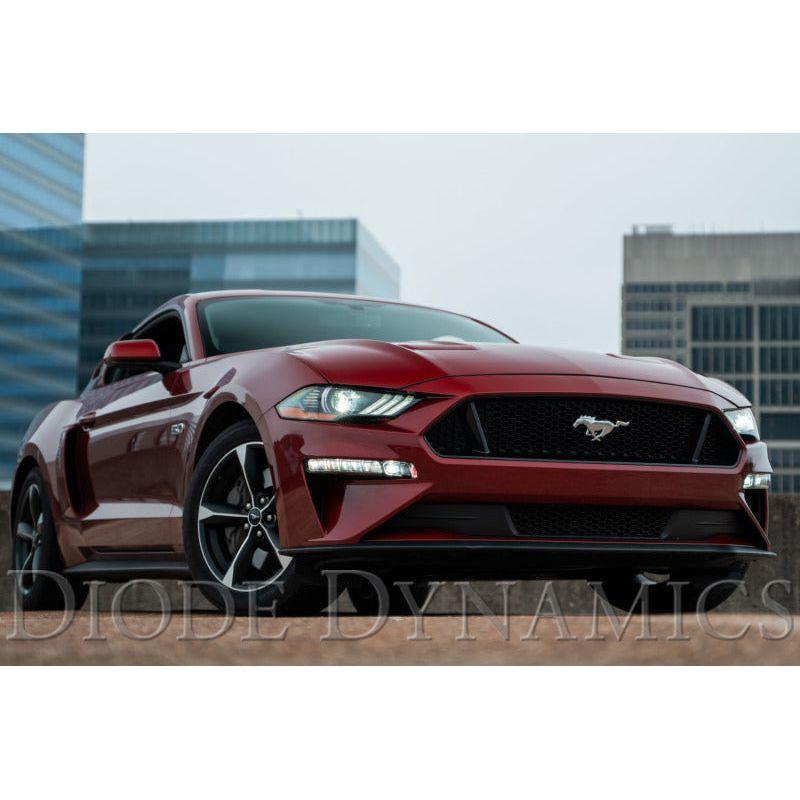 Diode Dynamics Elite Series Combination Fog Lamp for 18-21 Ford Mustang - Cool - White (Pair)-tuningsupply.com