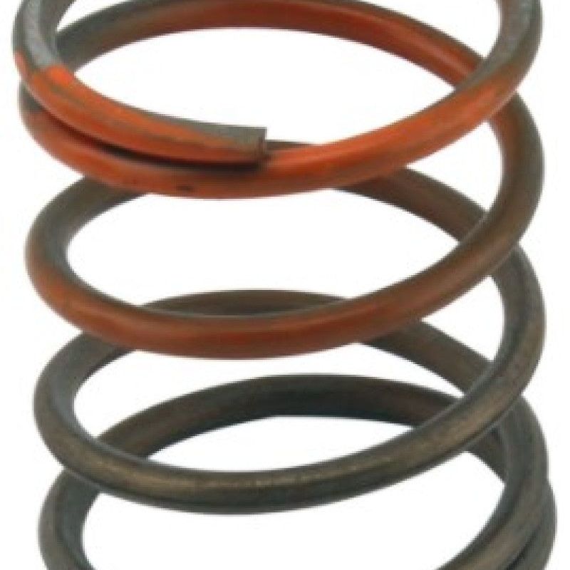 Turbosmart Gen-V WG45/50 3psi Orange Inner Spring - SMINKpower Performance Parts TURTS-0550-3085 Turbosmart