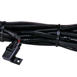 Hella High Performance Halogen Wiring Harness-tuningsupply.com