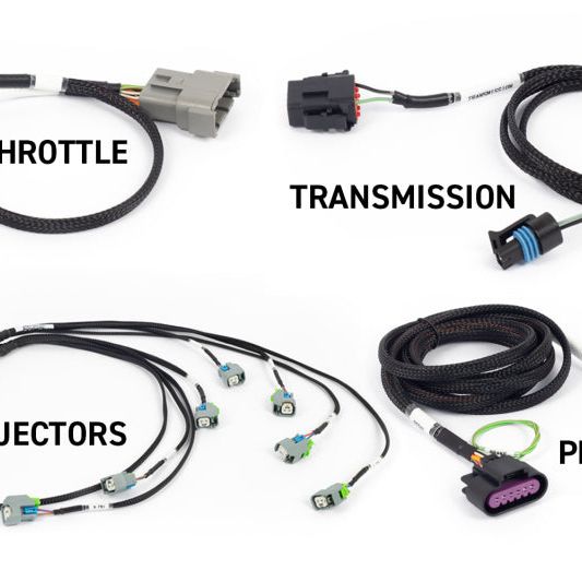 Haltech NEXUS Rebel LS Gen IV 6-Pin DBW Throttle/EV6 Injectors/Manual Transmission-tuningsupply.com