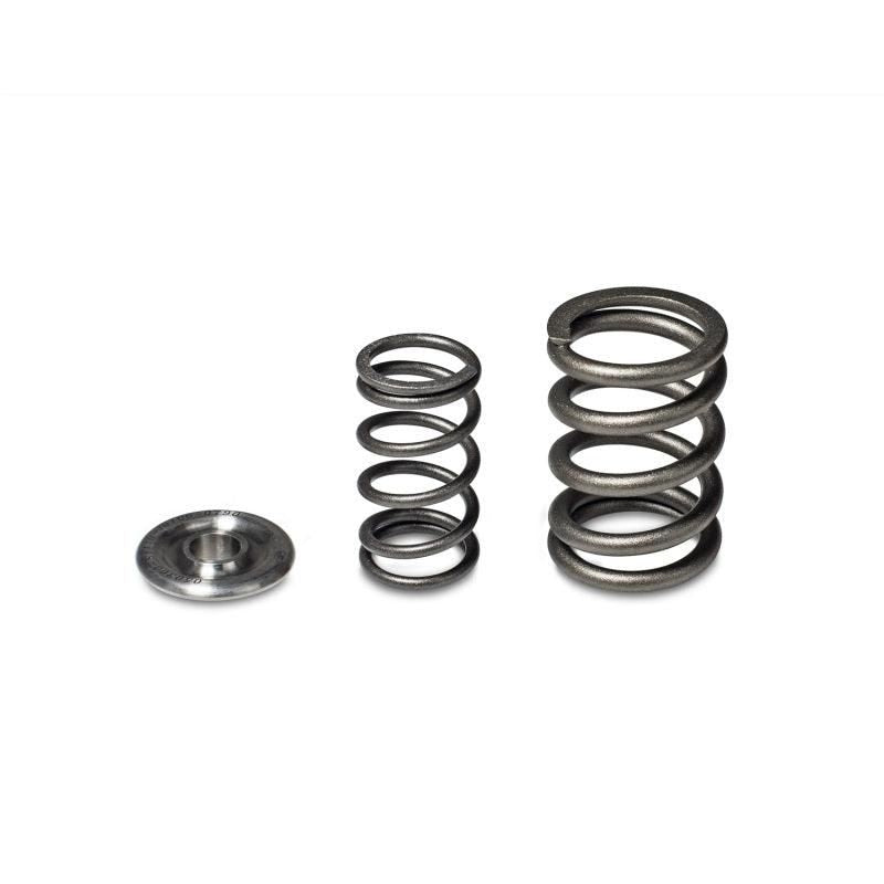 Skunk2 Alpha Series Honda/Acura H Series Valve Spring and Titanium Retainer Kit - SMINKpower Performance Parts SKK344-05-1360 Skunk2 Racing