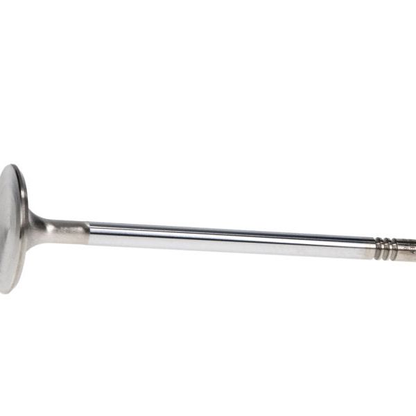 Manley Ford 4.6L DOHC (4 Valve) Triple Groove 37mm Race Master Intake Valves-tuningsupply.com